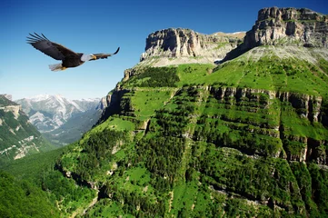 Poster adelaar in de Ordessa-vallei © Joolyann