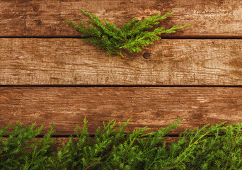Vintage christmas background - wood board with pine branch