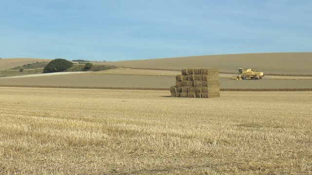 battre le bl&eacute;