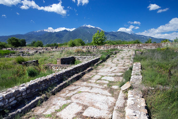 Fototapeta na wymiar ruins in Dion, Greece.