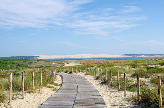 La dune du Pilat en Gironde. Protection du littoral