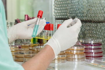 Tests in laboratory