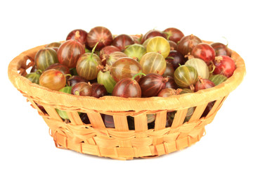 Fresh gooseberries in wicker basket isolated on white