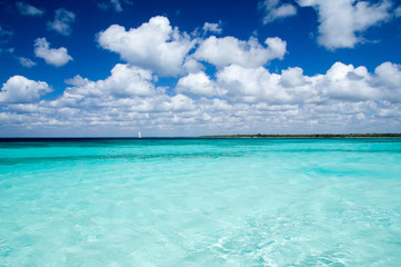 Fototapeta premium tropical sea