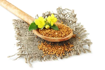Fotobehang Specerijen Mustard seeds in wooden spoon with mustard flower isolated