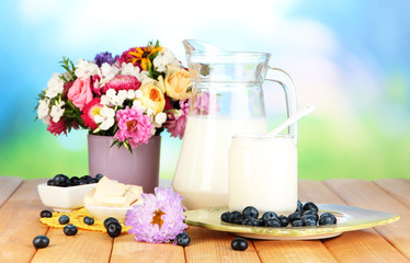 Obraz na płótnie Canvas Fresh dairy products with blueberry