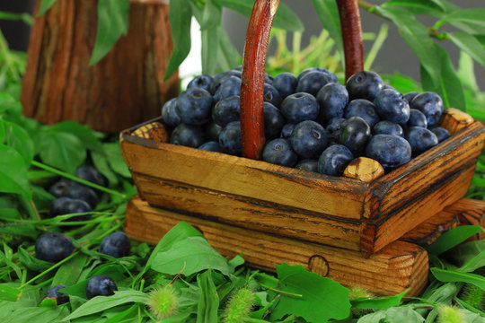 Blueberries in wooden basket on grass