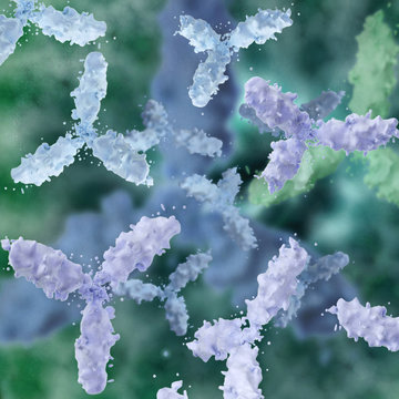 Antikörper - 3d Render