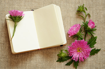 Notebook and asters composition in a corner