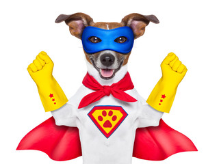 super hero dog - obrazy, fototapety, plakaty