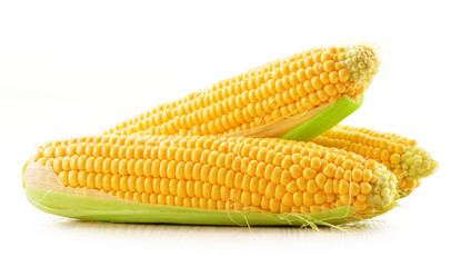 Ears of corn isolated on a white background