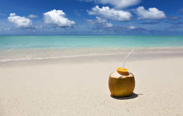 coconut on the beach