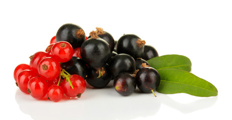 Red and black currant isolated on white