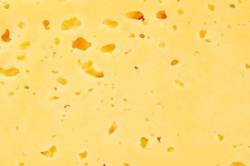 texture of the cheese