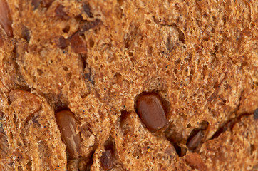 background texture of a porous brown bread