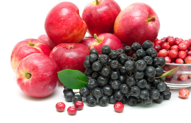 chokeberry, apples and cranberries close-up. white background.