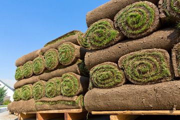 stacks of sod rolls