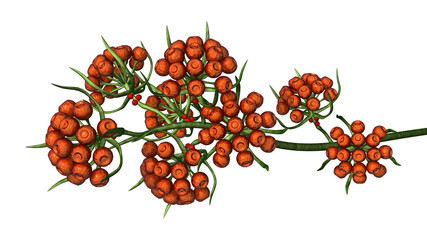 red flowers 3d © neurostructure