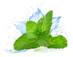 Mint leafs water splash