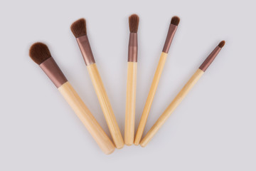 Makeup brush kit isolated