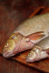  common bream