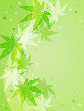 Maple leaves