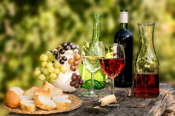 Obrazy na Plexi  Degustacja wina jesienią