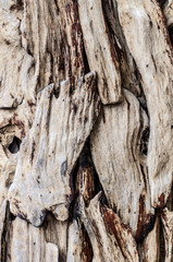 Many pieces of teak wood background