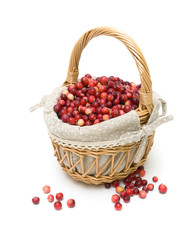 basket with cranberry isolated on a white background