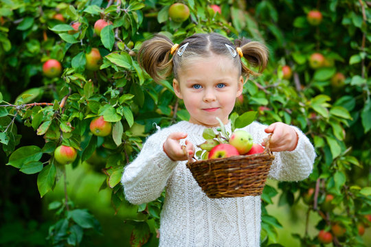 Cute girl in apple orchard