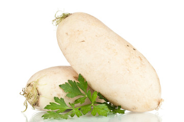Turnip over a white reflective background