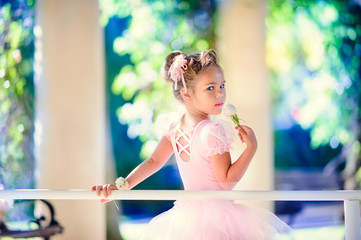 Little ballerina girl doing ballet bar exercises - Powered by Adobe