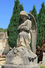 Fototapeta na wymiar Pomnik Anioł na cmentarz francuski