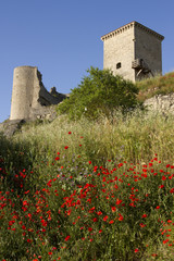 santa Gadea del Cid