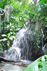 Beautiful waterfall in a Thailand