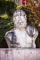 Obraz premium Ancient Stone bust