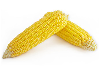 corns on white