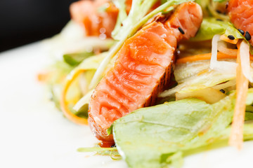 salmon salad