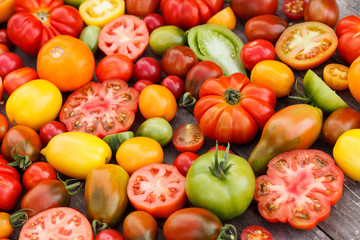 colorful tomatoes