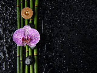 pink orchid and bamboo grove ,zen stone ,candle,on wet black