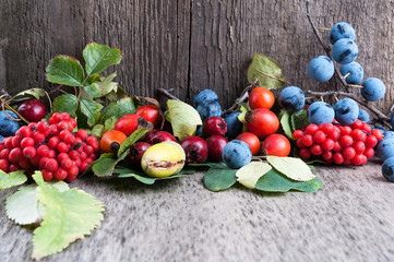 Autumn berries on old wooden surface