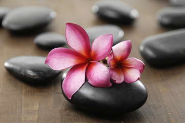 Spa stones with frangipani flower arranged on wooden board