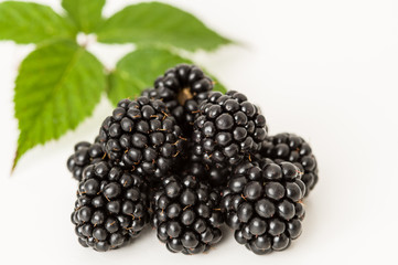 Reife Brombeeren