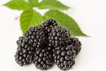 reife Brombeeren