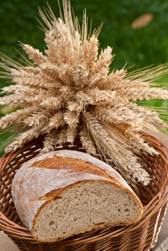 bread