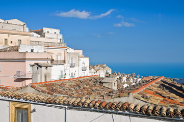 Panoramic view of Monte Sant'Angelo. Puglia. Italy.