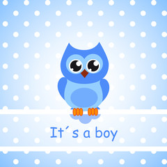 its a boy eule