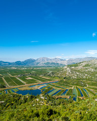 The rich green fields with plenty of water channels.
