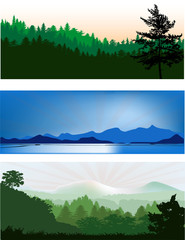three landscapes with forest