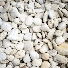 White stones texture